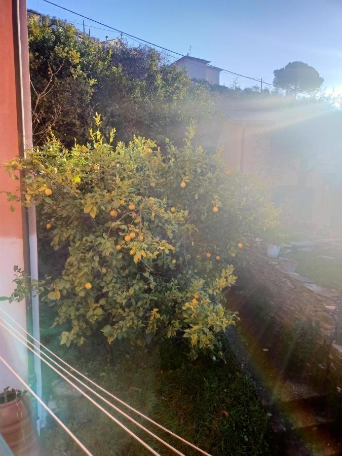 Dalla Franca Ξενοδοχείο Chiavari Εξωτερικό φωτογραφία